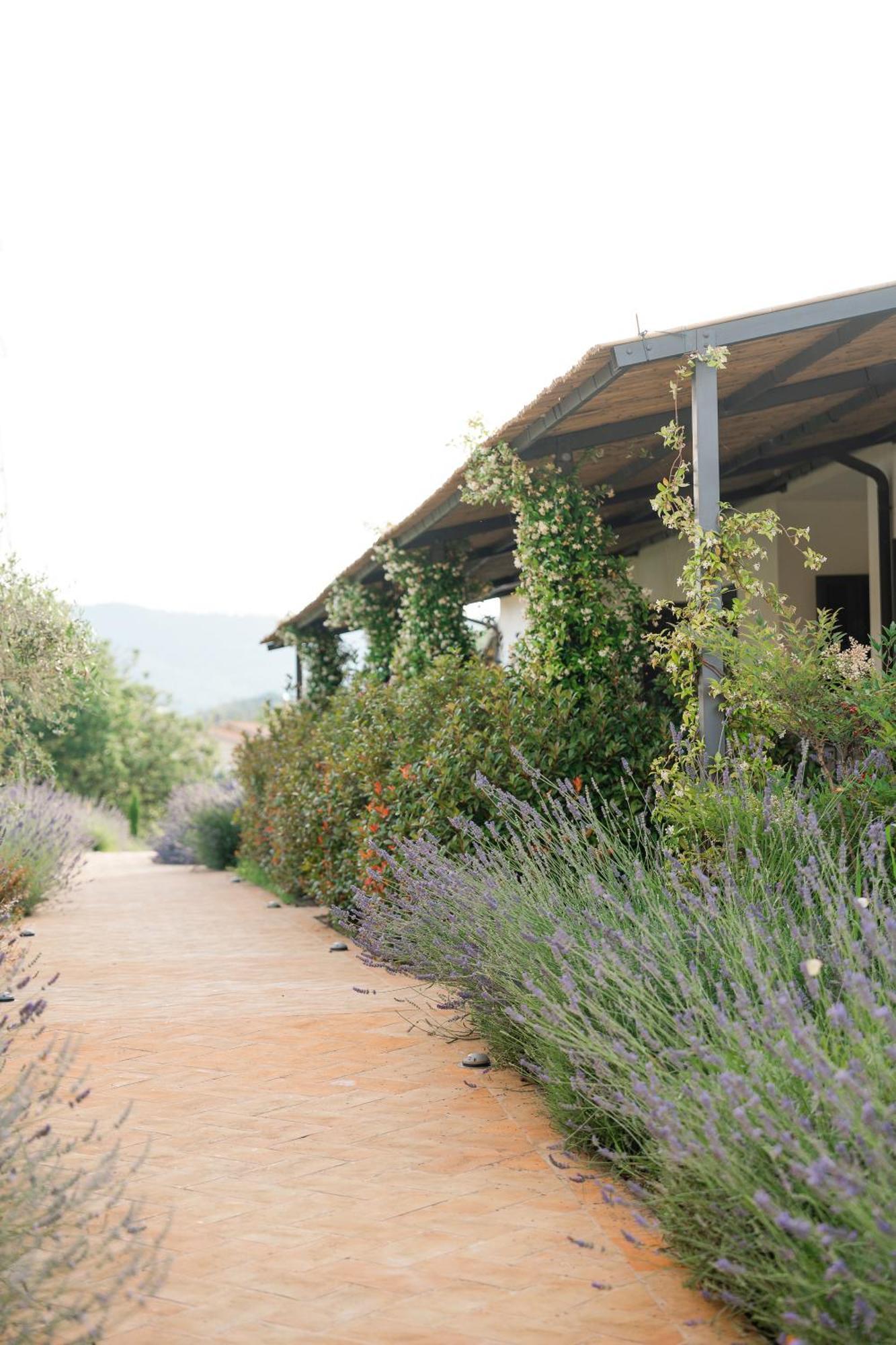 Hortus Natural Living Todi Ngoại thất bức ảnh